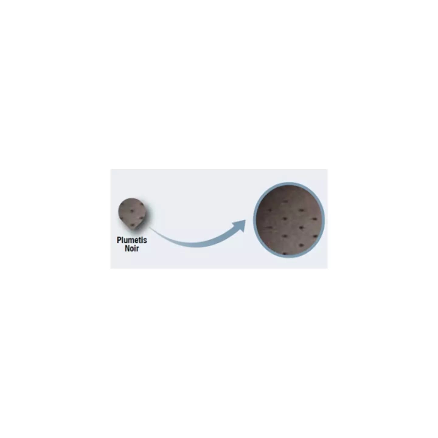 VENOFLEX INCOGN ABSO 2 CHAUSS F PLUM NR T2L