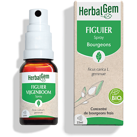 HERBALGEM FIGUIER BIO SPRAY FL/15ML