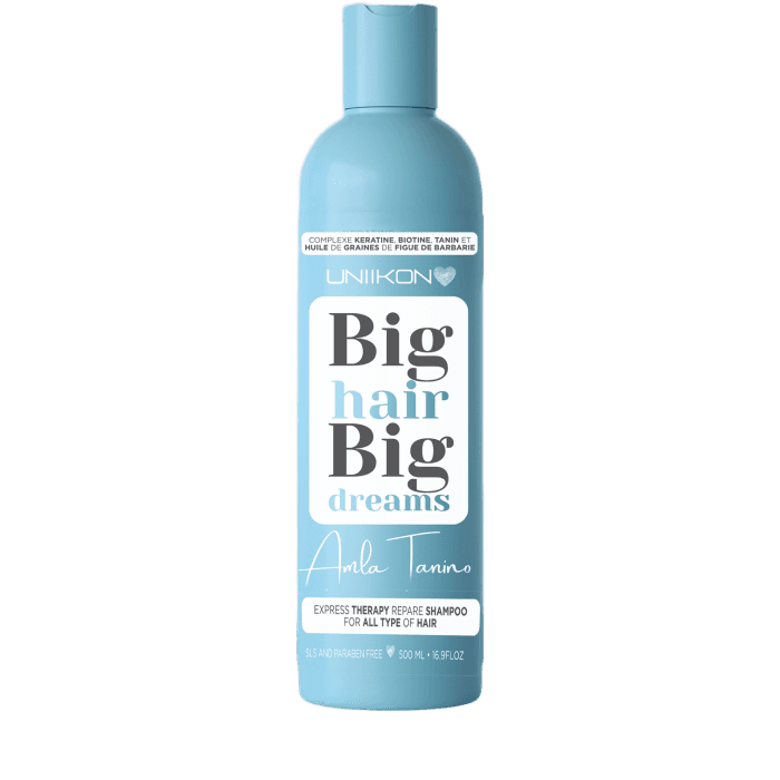 Inconnu BIG HAIR SHAMPOO AMLA TANINO 500ML(CHEV FRAGILES)