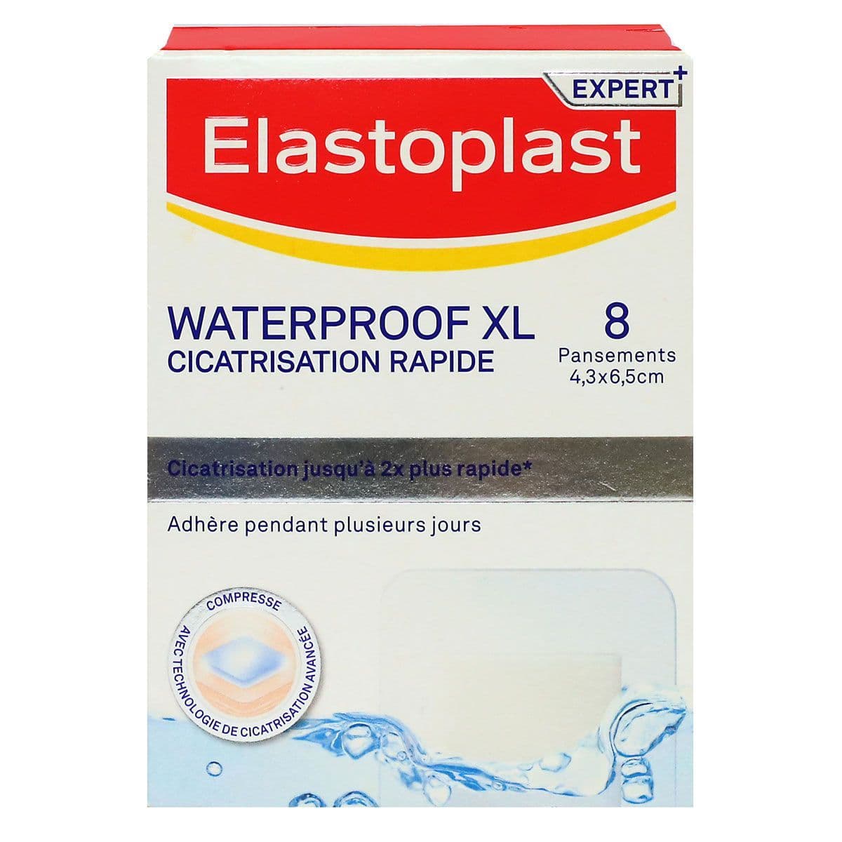 ELASTO WATPXL CIC RAPPANS B/8