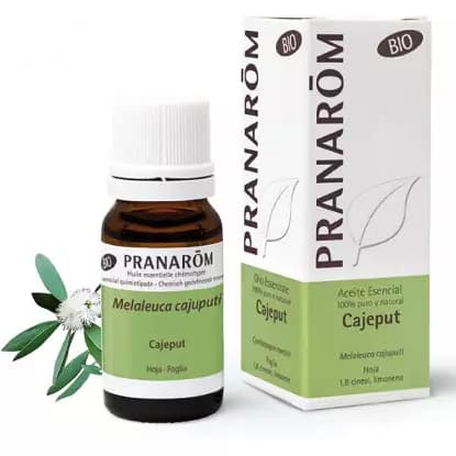 Pranarôm PRANAROM HLE ESS BIO CAJEPUT FL/10ML