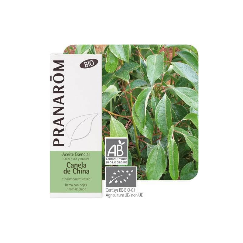 Pranarôm PRANAROM HLE ESS BIO CANNELIER CHINE FL/10ML