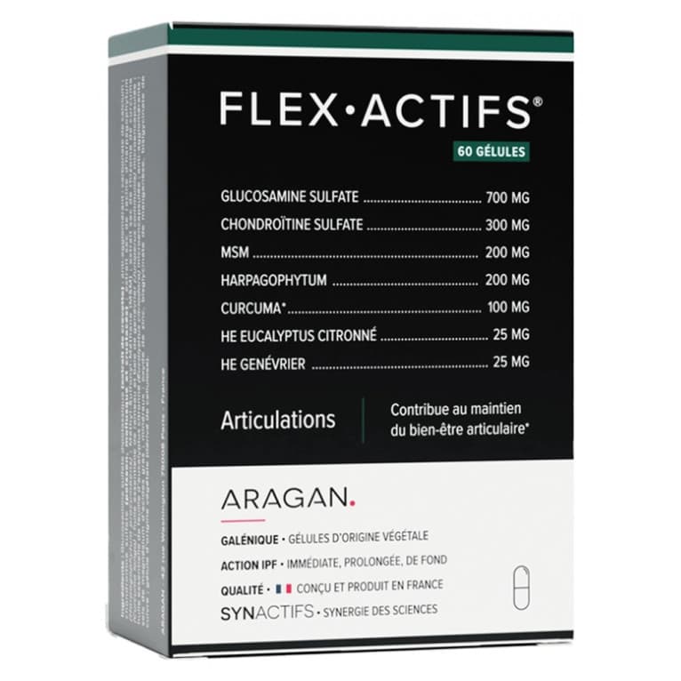 SYNACTIFS FLEXACTIFS GEL B/60