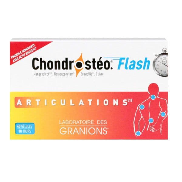 CHONDROSTEO + FLASH GEL B/40