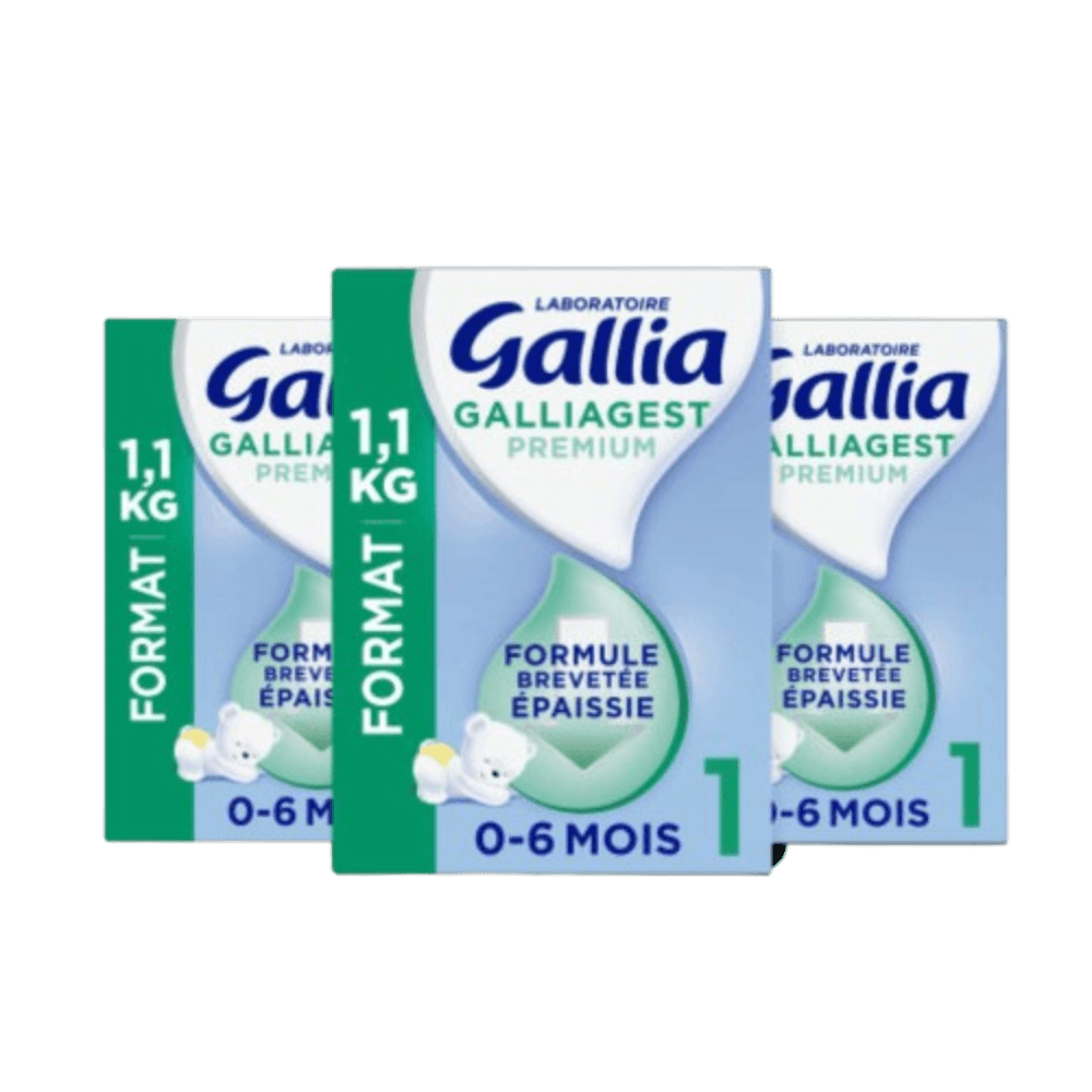 Blédina GALLIA GALLIAGEST P 1 LAIT PDR B/1,1KG