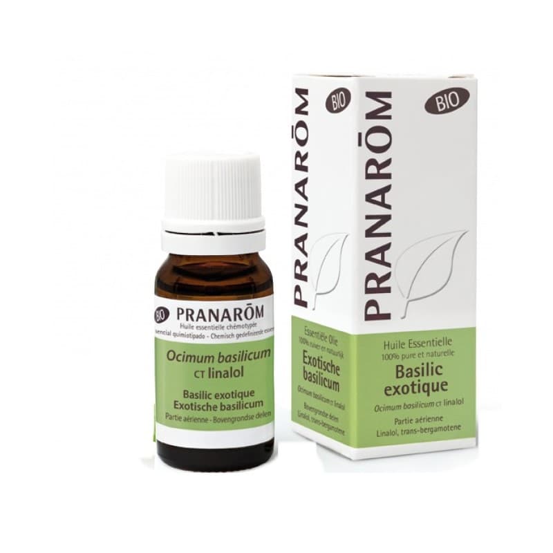 Pranarôm PRANAROM HLE ESS BIO BASILIC EXOTIQUE FL/10ML