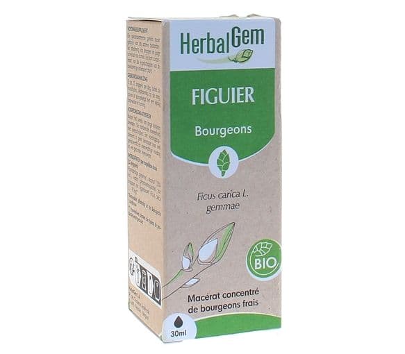 HERBALGEM FIGUIER MACERAT BIO FL C-GTT/30ML