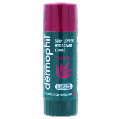 DERMOPHIL INDIEN STICK SOIN TEINT PRUNELLE 4G