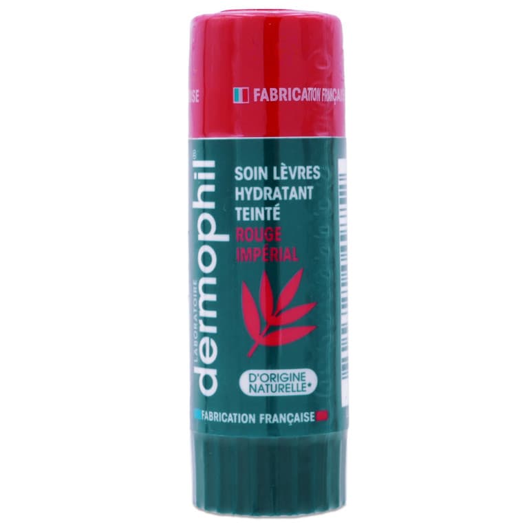 DERMOPHIL INDIEN STICK SOIN TEINT RGE IMP 4G