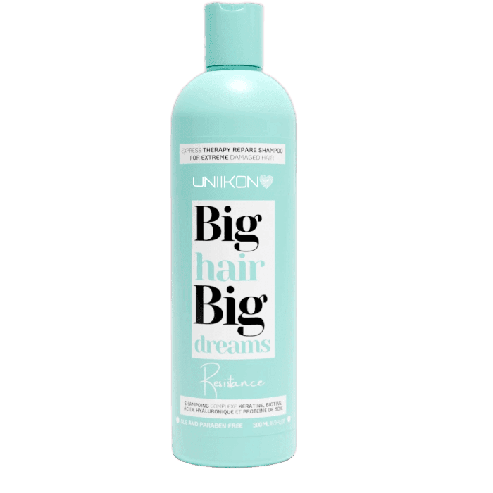 Inconnu BIG HAIR SHAMPOO RESISTANCE 500M(CHEV SECS-ABIMES)