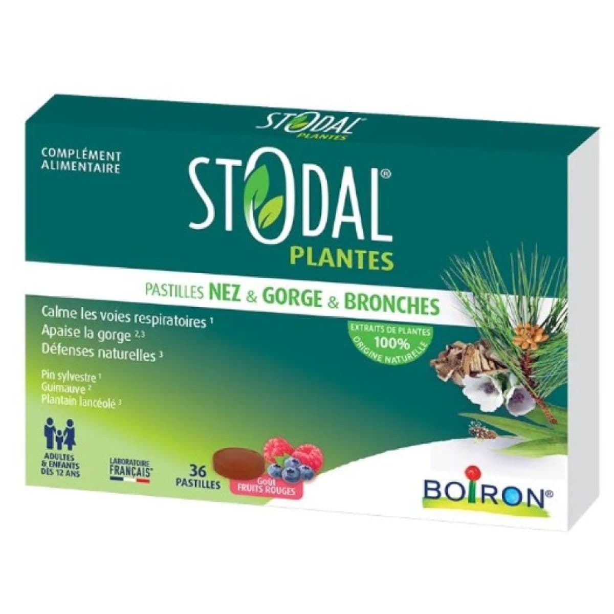 STODAL PLANTES PAST FRTS RGES B/36
