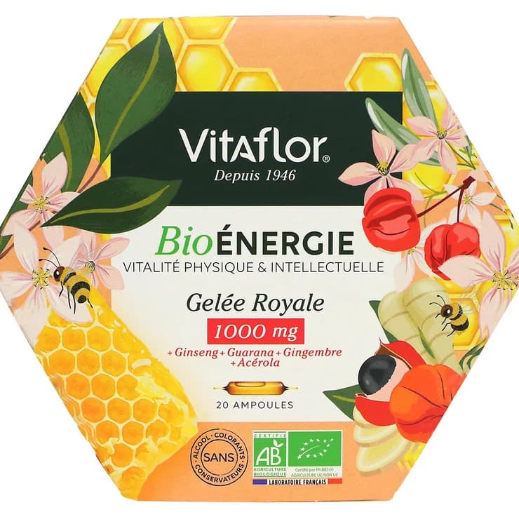 VITAFLOR APICULTE GEL ROY BIO 1000MG S BUV 20