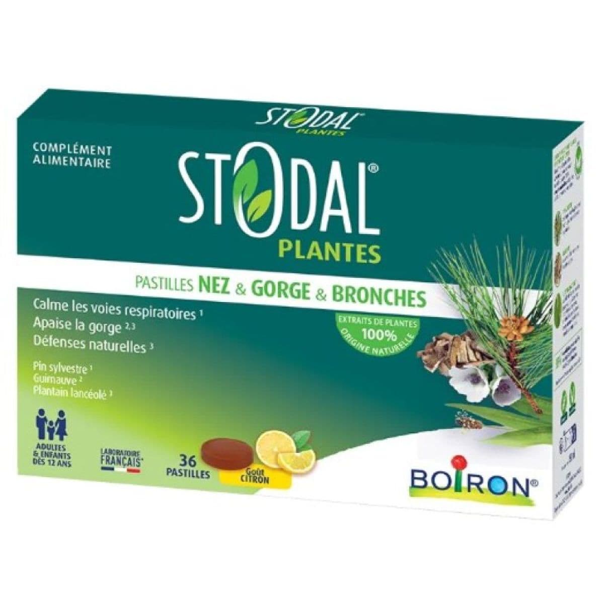 STODAL PLANTES PAST CITRON B/36