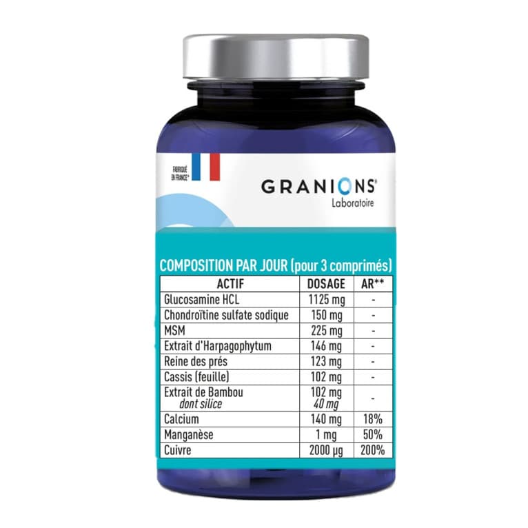 GRANIONS PILUL GLUCOSAM CHONDRO MSM 1500MG 60CP