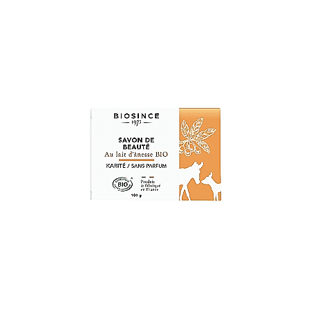BIOSINCE 1975 LAIT ANESSE BIO SAV SS PAR 100G