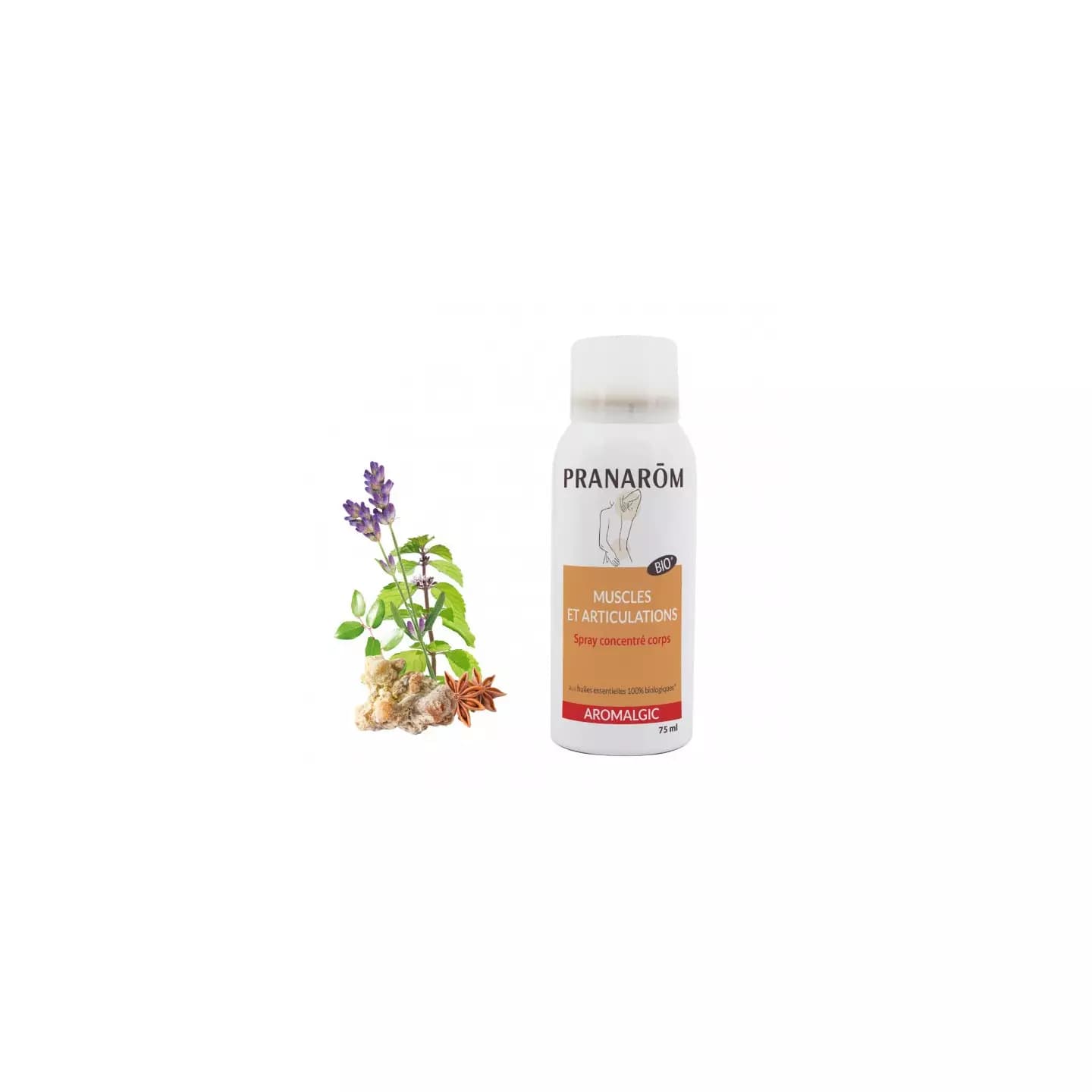 AROMALGIC BIO SPRAY CORPS MUSCLE ARTICUL 75ML