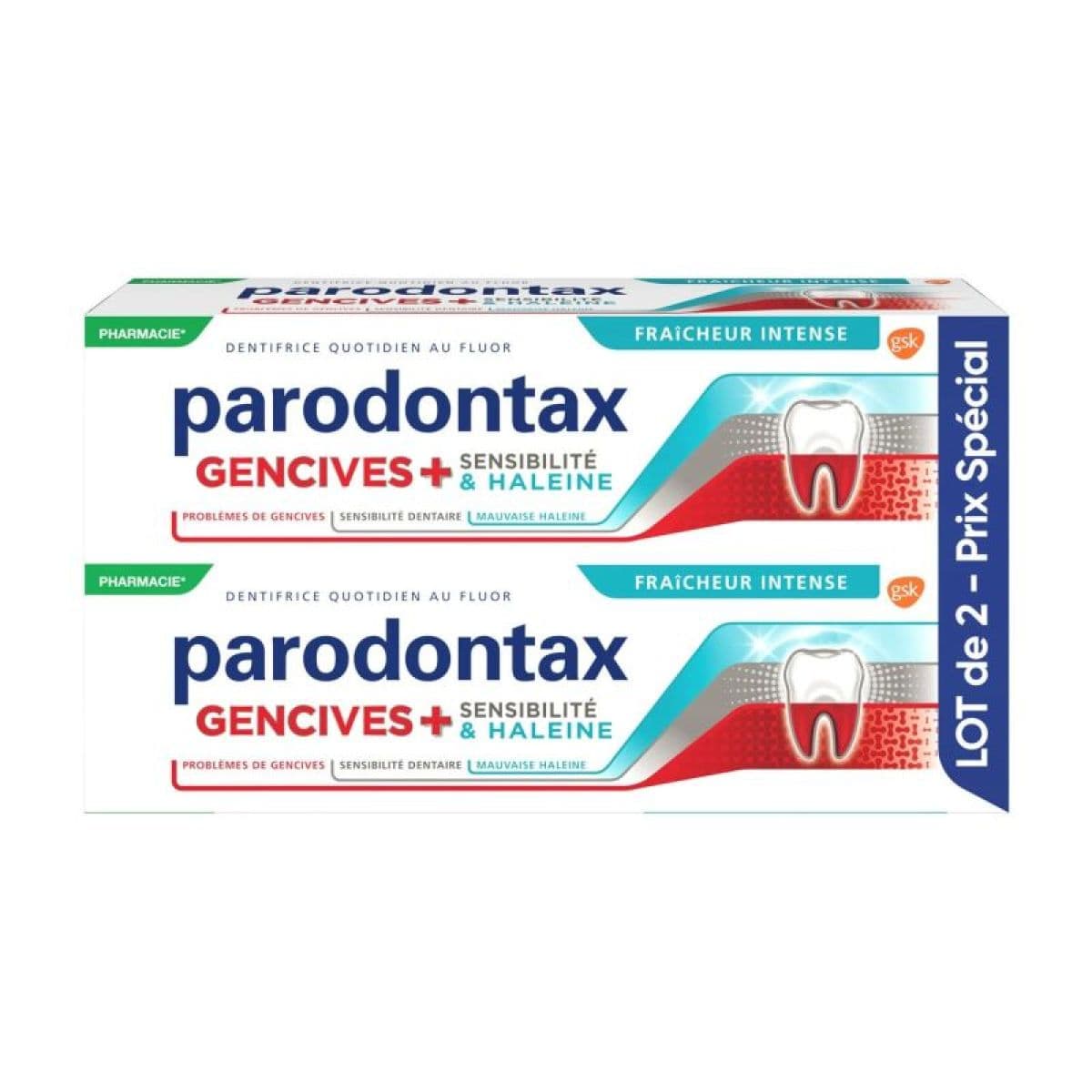 PARODONTAX GENCIVES+SENSIBILITE DENTIF 2/75ML