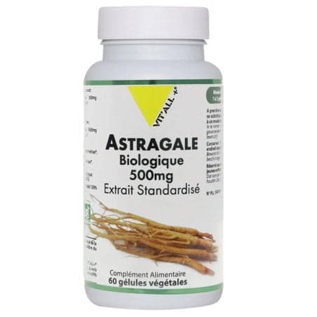 VIT'ALL+ ASTRAGALE BIO* 500MG EXTRAIT STANDARDIS?