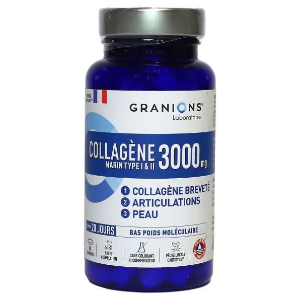 GRANIONS PILUL COLLAGENE TYPE I ET II CPR PILUL/80