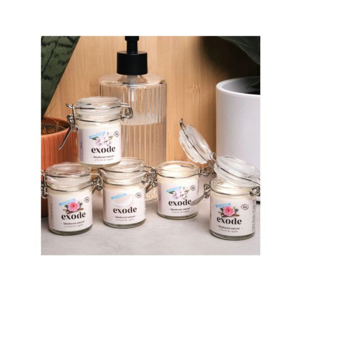 EXODE DEODORANT NATUREL LITCHI POT/50G