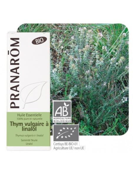 Pranarôm PRANAROM HLE ESS BIO THYM LINALOL FL/5ML